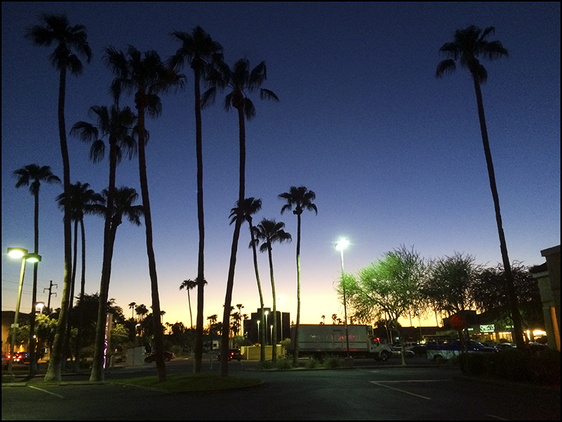 Arizona_2014_4